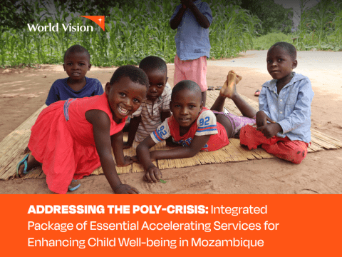 Policy Brief - Mozambique