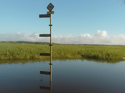 Standing guard against rising waters, these posts mark a community’s commitment to  preparedness and resilience.