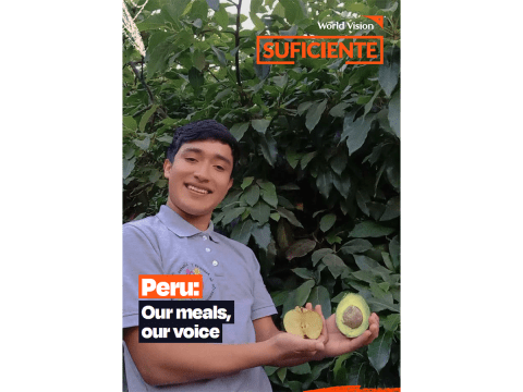 Peru cover