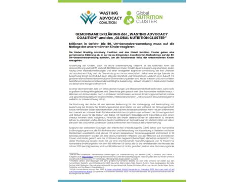 WAC GNC Joint Statement UNGA 80 German