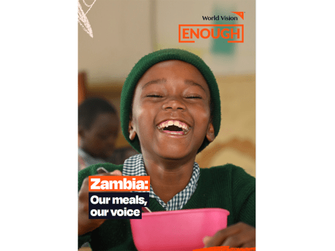 Zambia cover