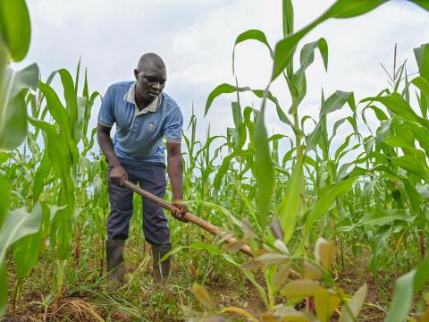 Alex working in the field
