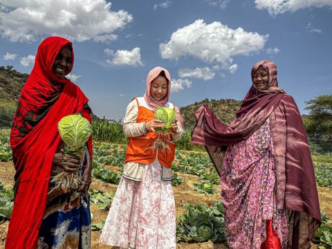 COP30 – What should  be delivered on Climate
