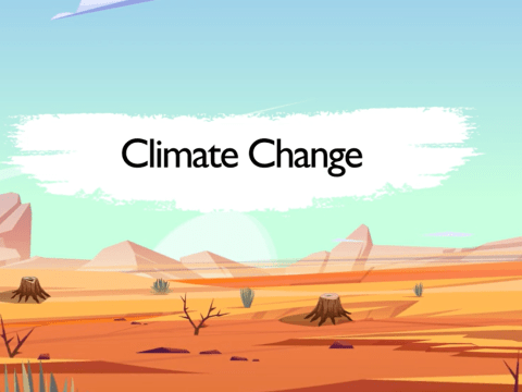  Step-by-step process FMNR.