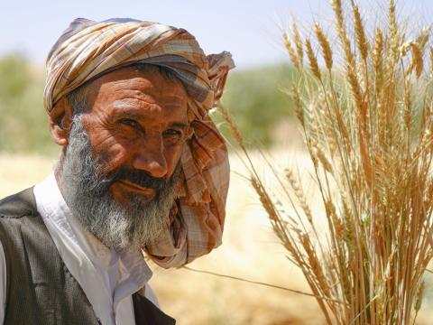 The drought destroyed 92 percent of Mohammad’s wheat crop.