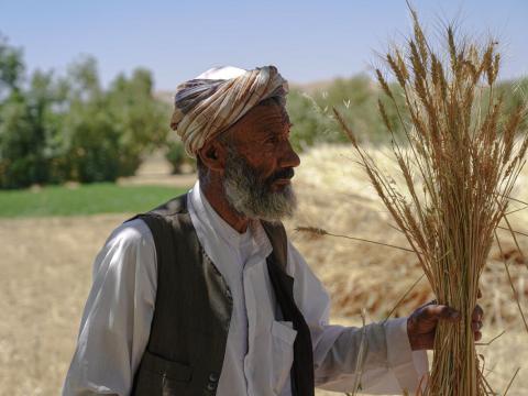Mohammad holding his harvest
