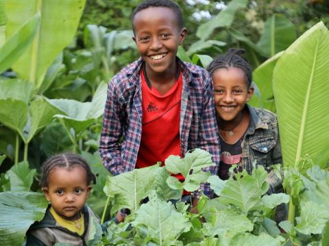 Transforming Landscapes with FMNR