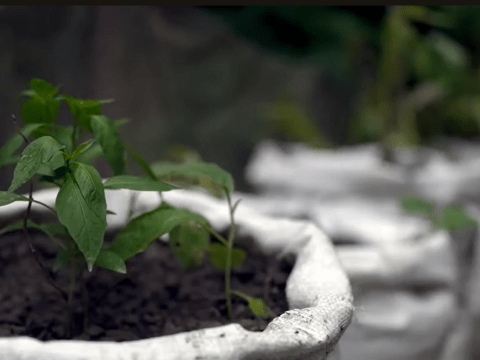 World Vision’s work on Environmental Sustainability and Climate Action