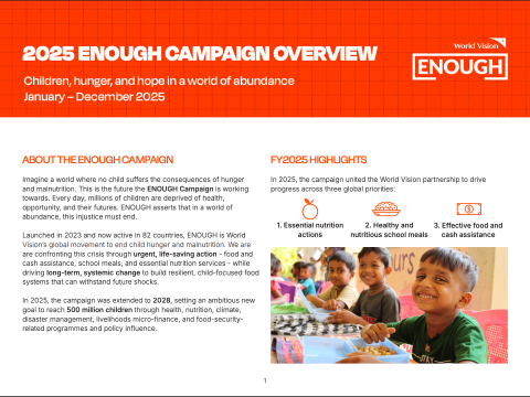 Cover page for the report