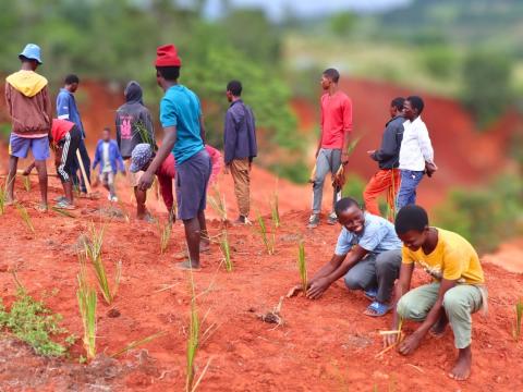 Children planting vetiver grass on a donga.