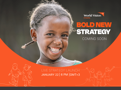 WVE Strategy Cover Final