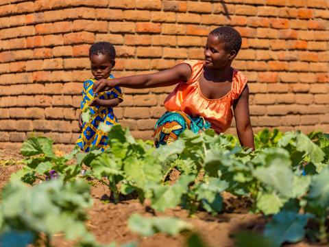Chimwmwe with her child picking vegetables in the garden.