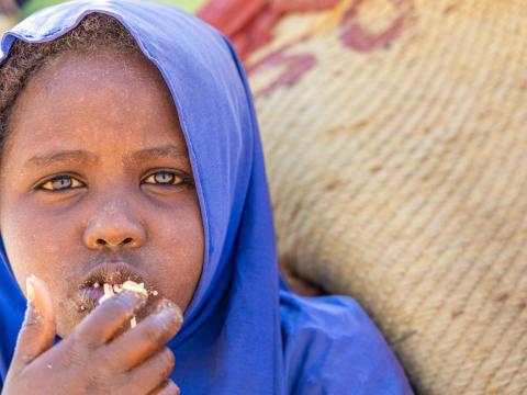 World Vision Somalia Strategy FY26-FY30