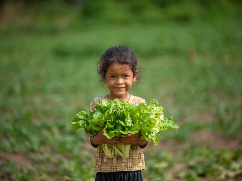 WV13288297 Cambodia 2025