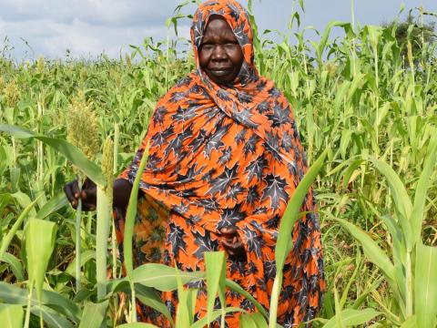 A woman wearing an orange wrap stands in the middle of her green sorghum field.