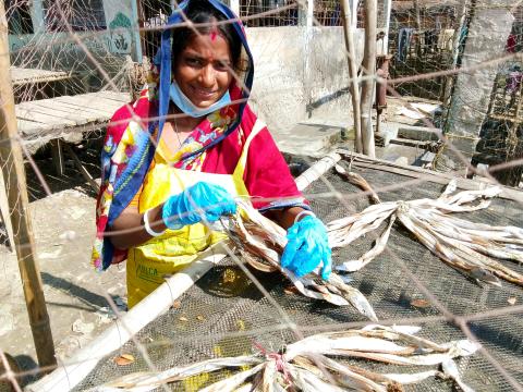 Dipa, a Bangladeshi entrepreneur on Moheshkhali Island, processing dry fish on a wooden drying rack.