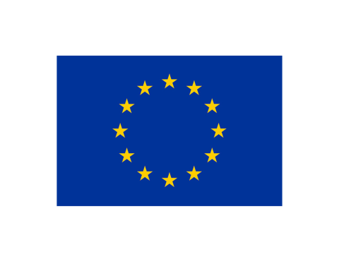 EU Logo