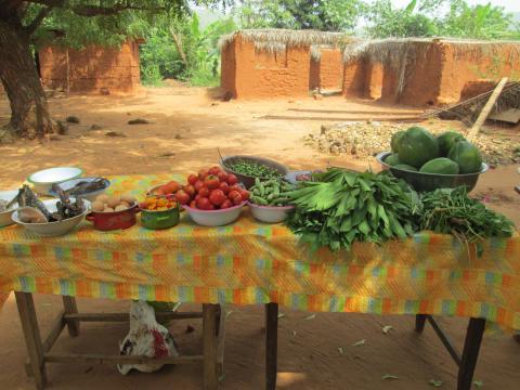 Nutrition Links in Ghana