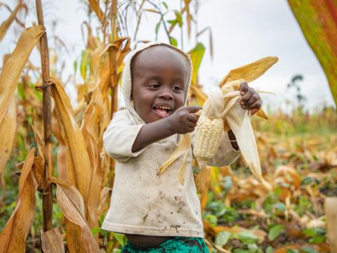 WV-WFP partner to deliver food to over a quarter of a million South Sudanese refugees in Uganda