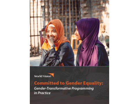 Committed to Gender Equality: Gender-Transformative Programming in Practice