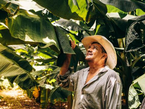 Don Antonio, a farmer from Honduras
