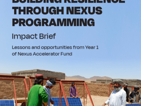 Screenshot of publication.