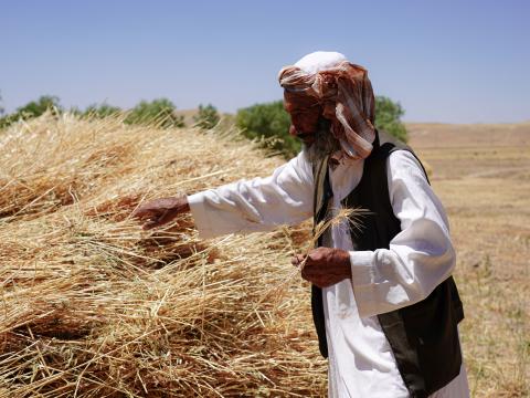 Situation Report 02 I Period:1 December (2025) – 31 January FY26