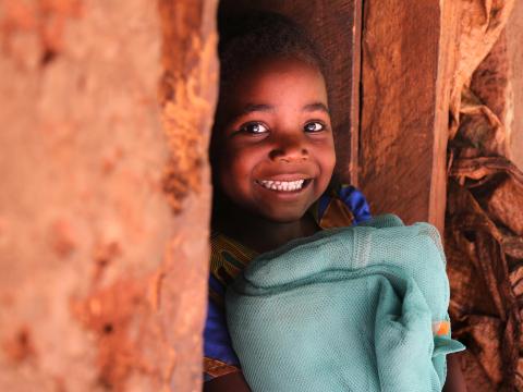 Malaria Programming