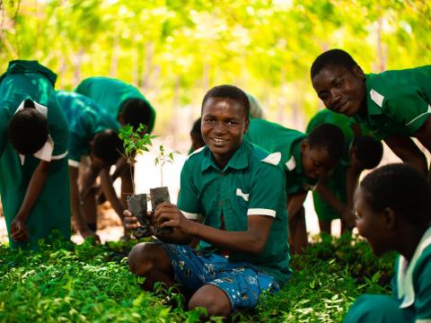 Climate change and FMNR in Malawi