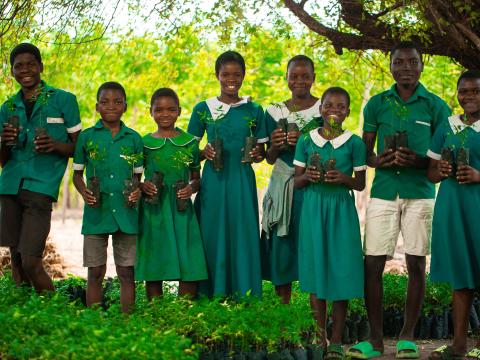 When the Trees Returned, So Did Their Hope!