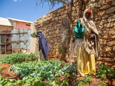 Women tending garden in Somalia
