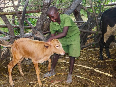 From Tears to Triumph: Tinashe learns to smile again