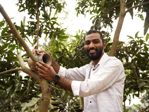 Joy, known as the 'Friend of Birds,' securing a clay pot nesting home to a tree branch in Biral, Dinajpur.