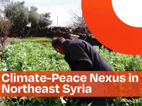 Climate-Peace Nexus in Northeast Syria  2