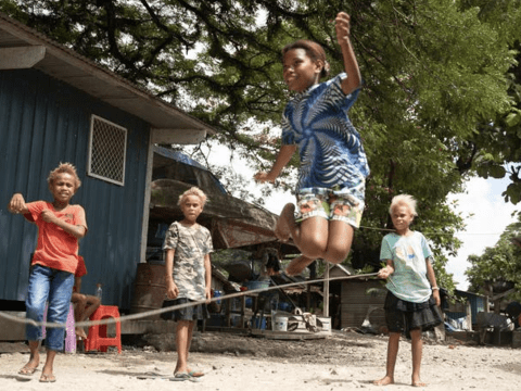 WVSI Impact Report 2025