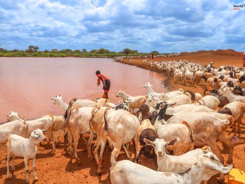 Wajir Water Challenges