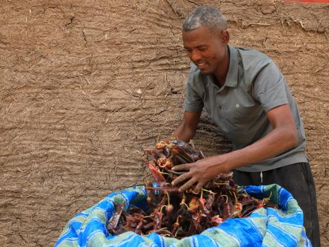 Basero and his chili pepper 