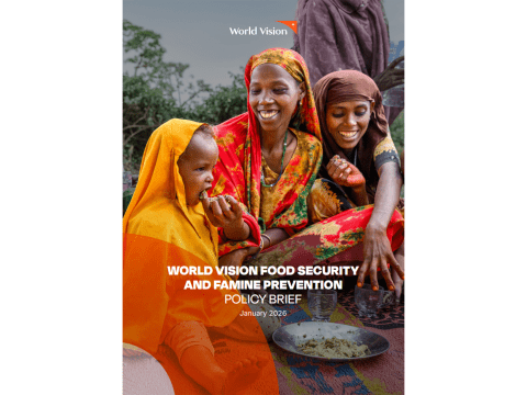 Food insecurity and famine prevention brief, cover