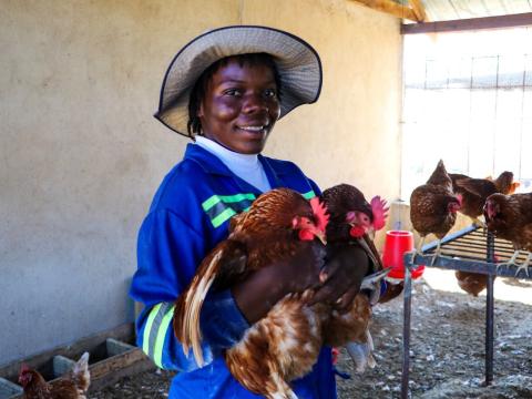 Young Persons Of Concern Creating Livelihoods Through Poultry and Insect Farming 