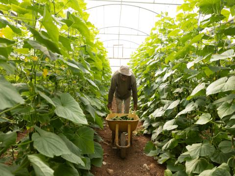 World Vision International Launches Climate-Smart Agriculture Project with Support from AECID