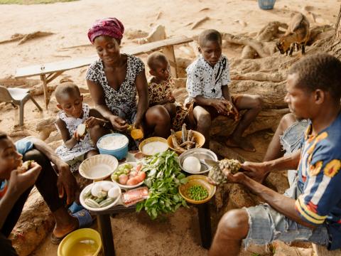 Building Nutrition Systems Beyond Products