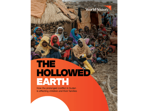 The Hollowed Earth report cover