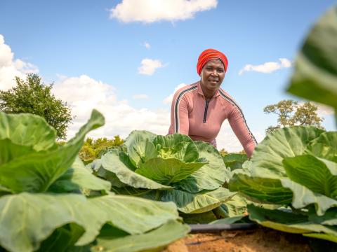 Climate Action, Resilience and Sustainable Livelihoods Capacity Statement 