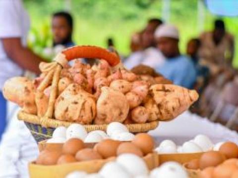 World Nutrition Journal Article IFP Project Ghana