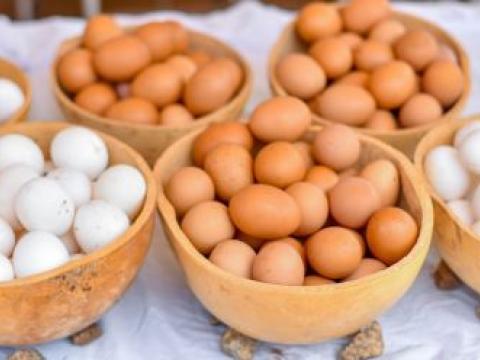World Nutrition Journal Article IFP Ghana Egg production