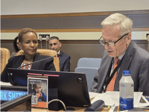 UN Meeting