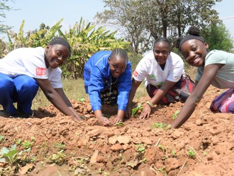 Young kids planting in the field