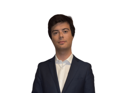 Milo photo 
