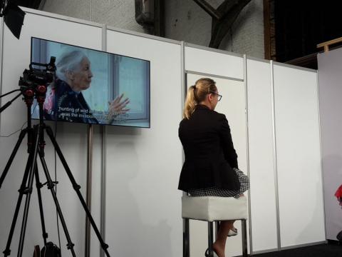 Agnes advocates for an end to violence at the European Development Days Agnes at the European Development Days