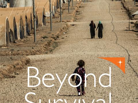 Beyond Survival Cover Beyond Survival Cover